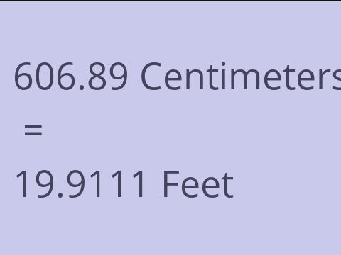 606.89 CM TO FEET