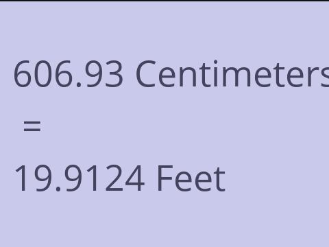 606.93 CM TO FEET