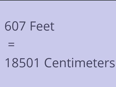 607 FEET TO CM