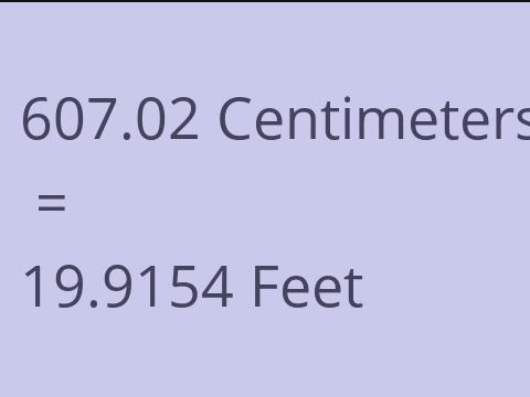 607.02 CM TO FEET