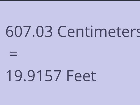 607.03 CM TO FEET