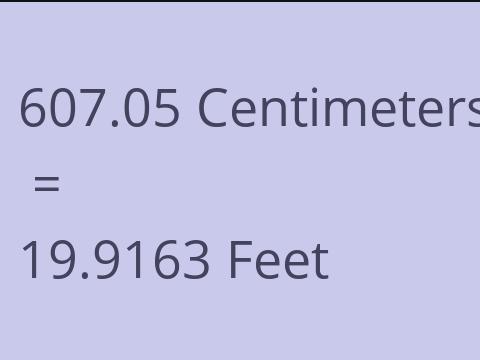 607.05 CM TO FEET