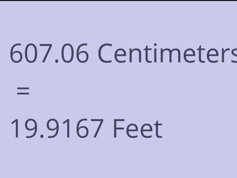 607.06 CM TO FEET