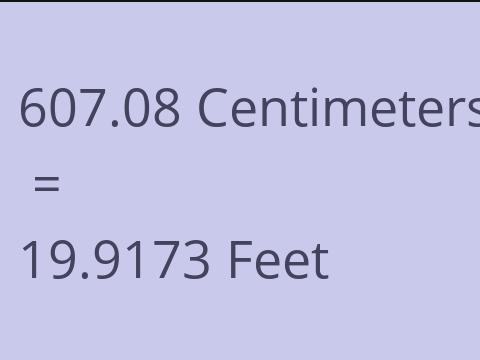 607.08 CM TO FEET