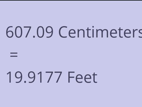 607.09 CM TO FEET