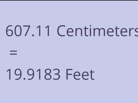 607.11 CM TO FEET