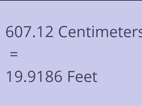 607.12 CM TO FEET