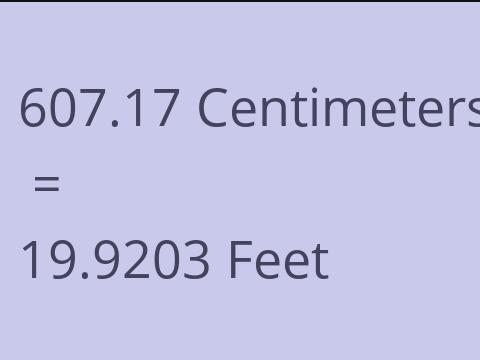 607.17 CM TO FEET