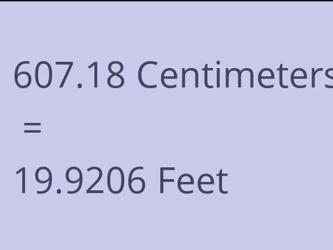 607.18 CM TO FEET