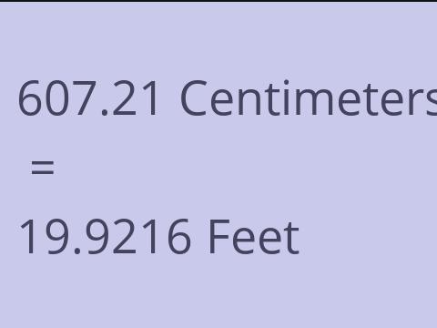 607.21 CM TO FEET