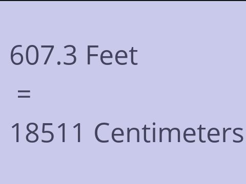 607.3 FEET TO CM