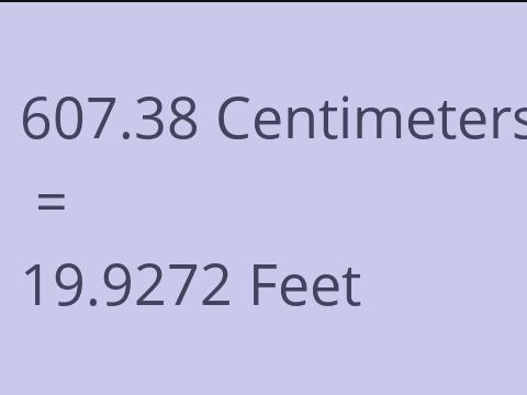 607.38 CM TO FEET