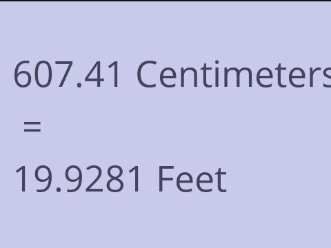 607.41 CM TO FEET