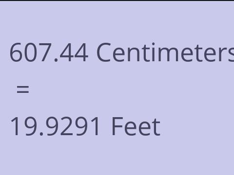 607.44 CM TO FEET