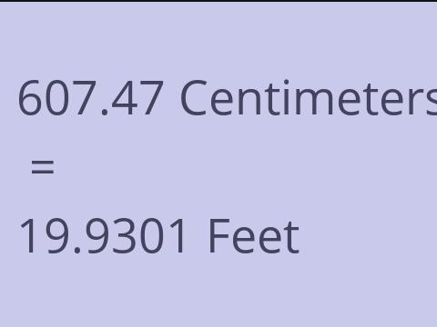 607.47 CM TO FEET