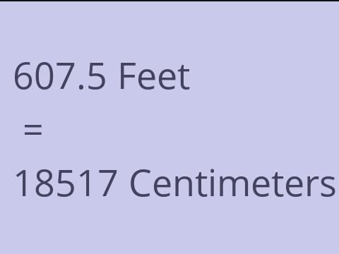 607.5 FEET TO CM