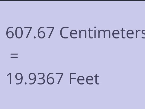 607.67 CM TO FEET