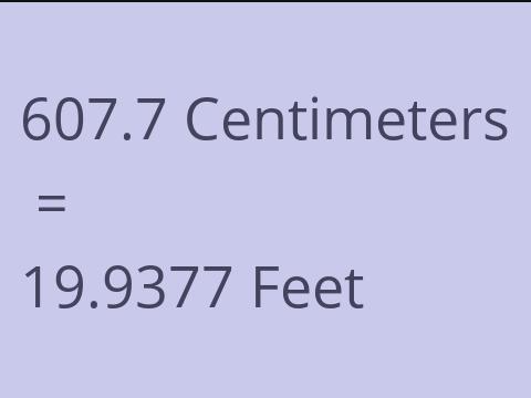 607.7 CM TO FEET