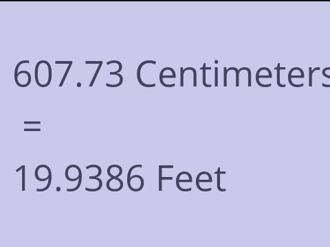 607.73 CM TO FEET