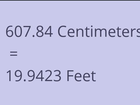 607.84 CM TO FEET