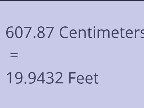 607.87 CM TO FEET