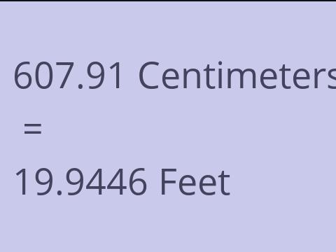 607.91 CM TO FEET