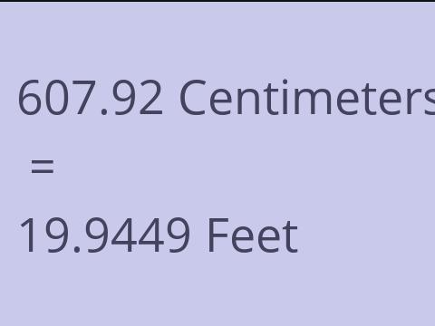 607.92 CM TO FEET