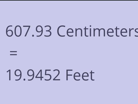 607.93 CM TO FEET