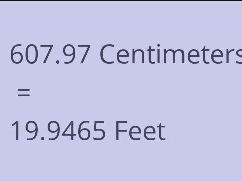 607.97 CM TO FEET