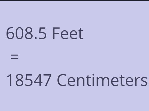 608.5 FEET TO CM