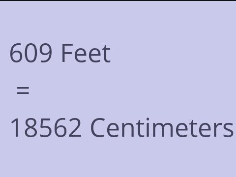 609 FEET TO CM