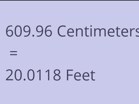 609.96 CM TO FEET