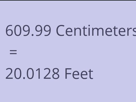 609.99 CM TO FEET