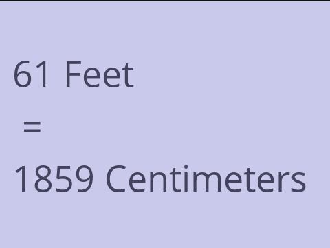 61 FEET TO CM