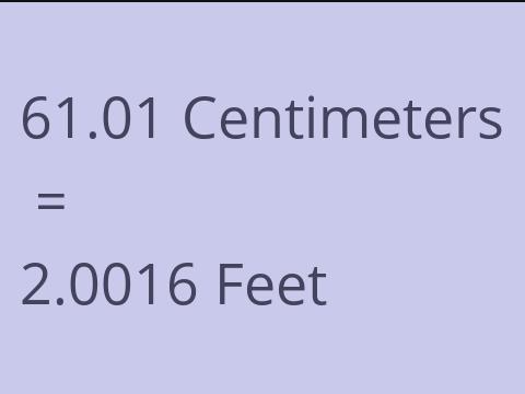 61.01 CM TO FEET