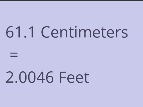 61.1 CM TO FEET