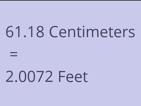 61.18 CM TO FEET