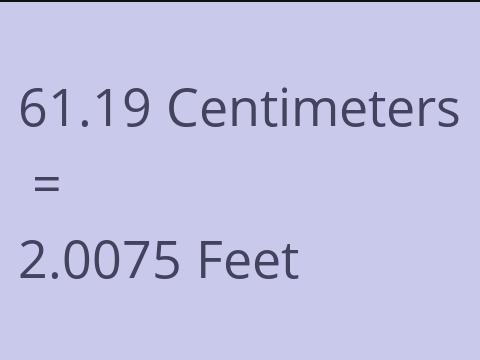 61.19 CM TO FEET