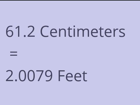 61.2 CM TO FEET