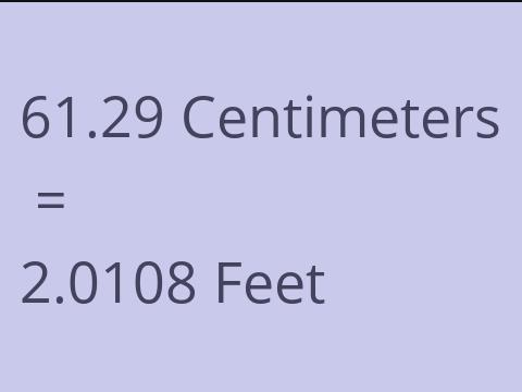 61.29 CM TO FEET