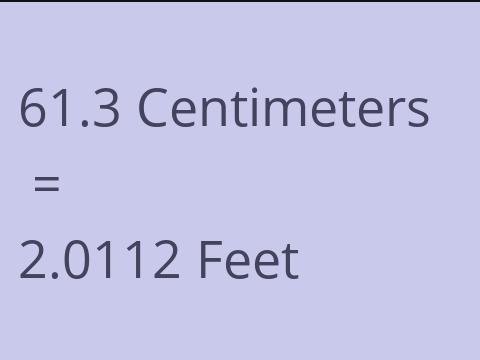 61.3 CM TO FEET