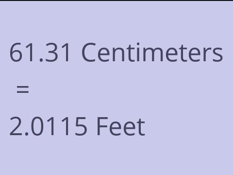 61.31 CM TO FEET