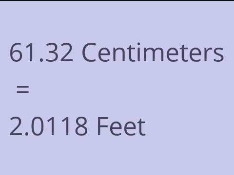 61.32 CM TO FEET