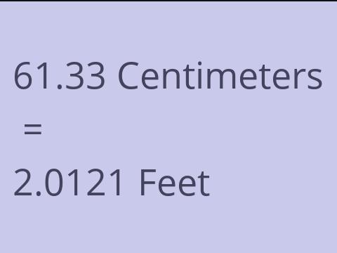 61.33 CM TO FEET