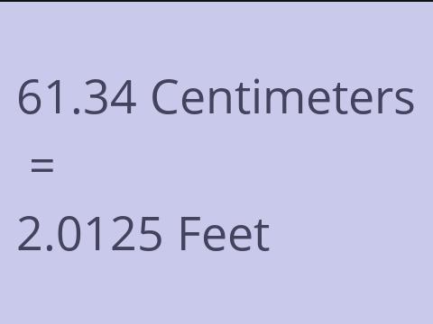 61.34 CM TO FEET