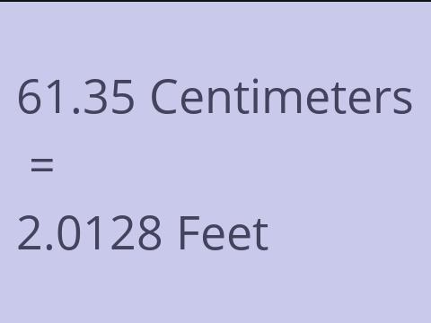 61.35 CM TO FEET