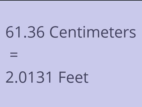 61.36 CM TO FEET