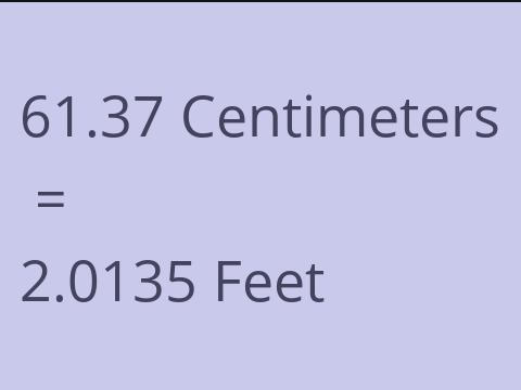 61.37 CM TO FEET