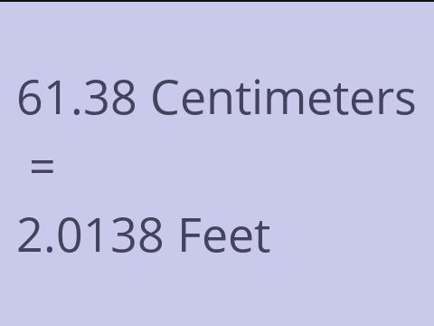 61.38 CM TO FEET