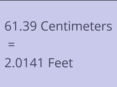 61.39 CM TO FEET